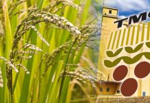 Toprak Mahsulleri Ofisinden Ekmek Zammı İçin Müdahale Geldi.