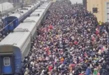 Ukrayna’da Sivil Dram