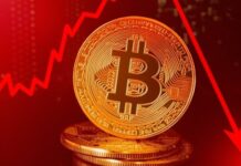 Kripto Borsalarında Çöküş Devam Ediyor.