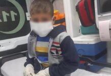 Bitlis’de Kuduz Alarmı.