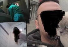 İstanbul’da Gizli Kamera Rezaleti